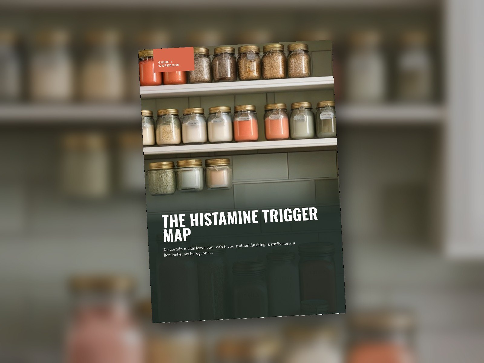 The Histamine Trigger Map cover