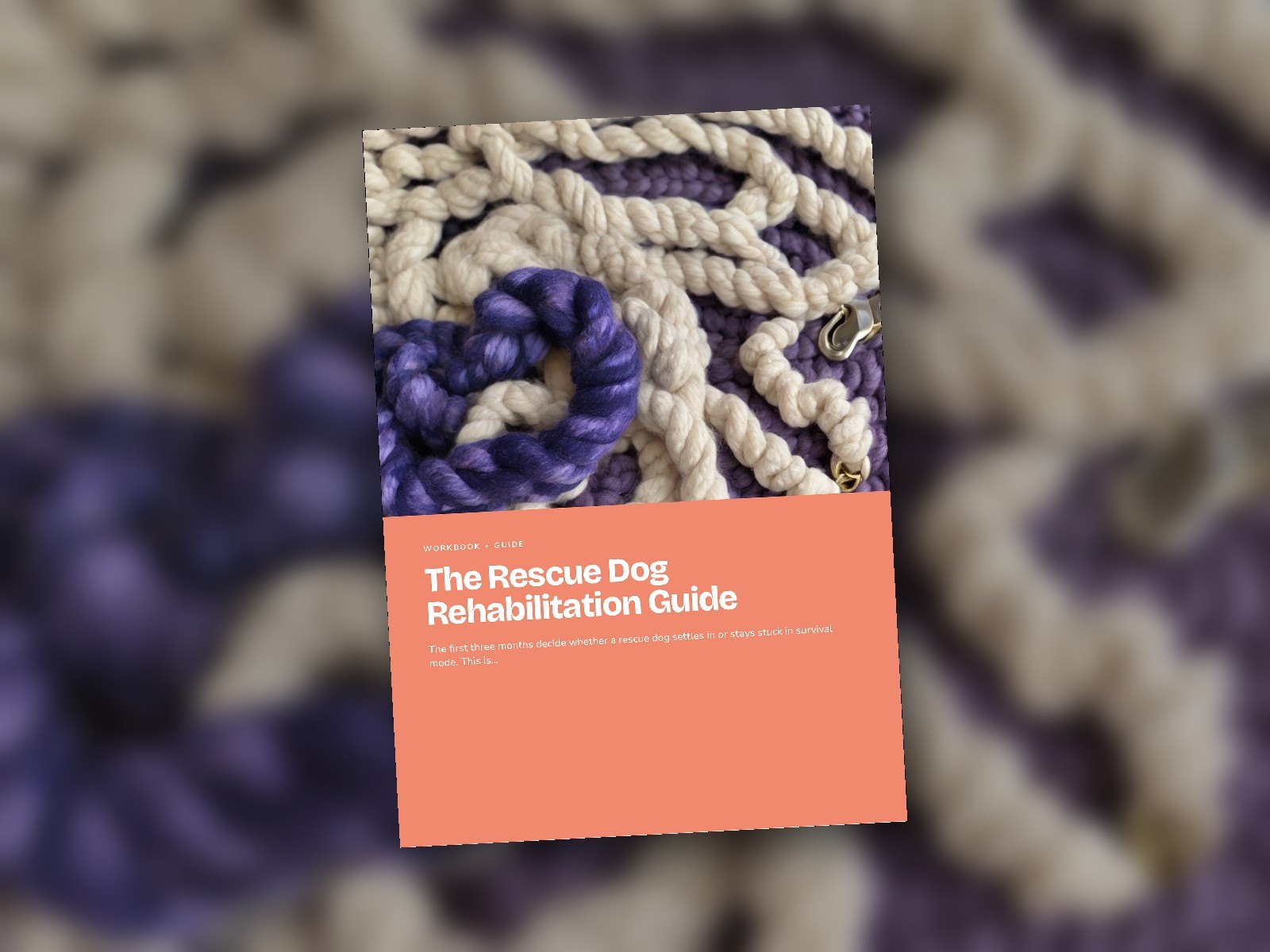 The Rescue Dog Rehabilitation Guide cover